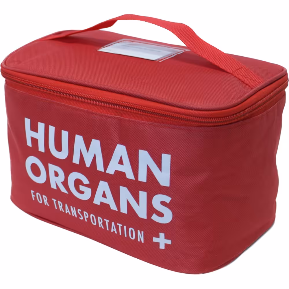 Human Organs Lunch Bag