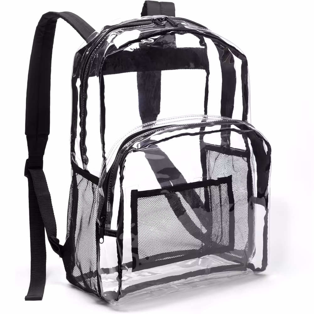 Transparent Backpack