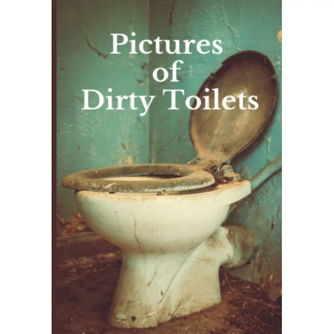 Pictures of Dirty Toilets