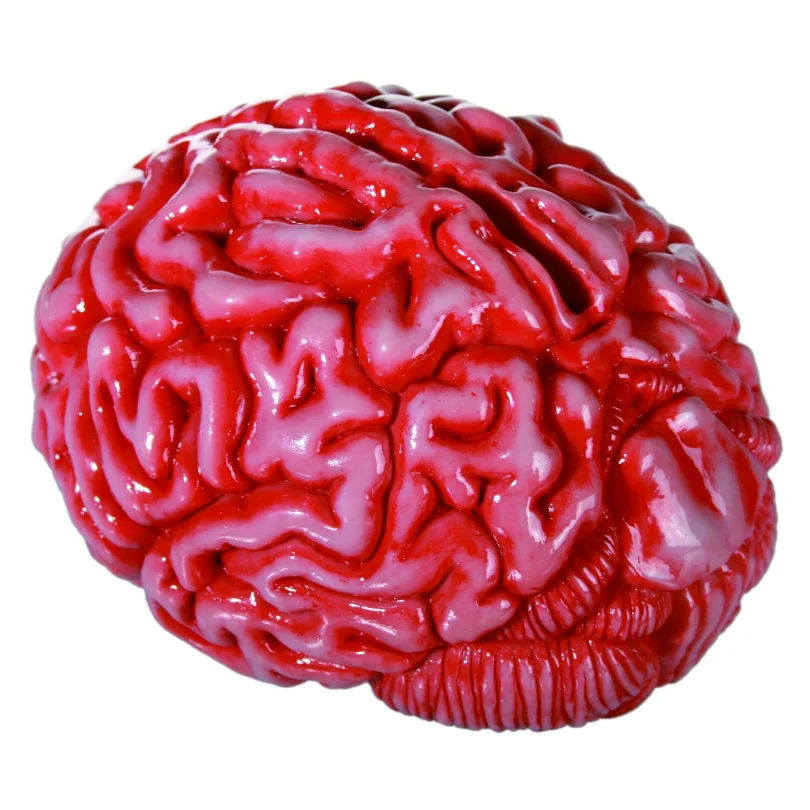 Zombie Brain Money Box